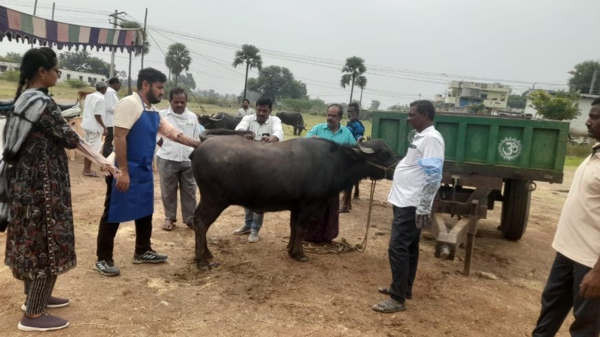 Free Veterinary Camp Organized by Animal Husbandry Department